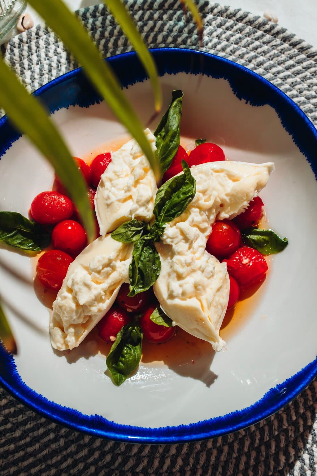 Fresh Burrata
