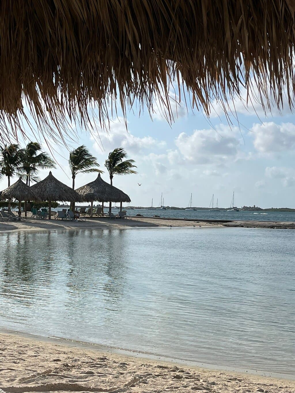 The Island Sisters … Sand N’ Sea villa Aruba