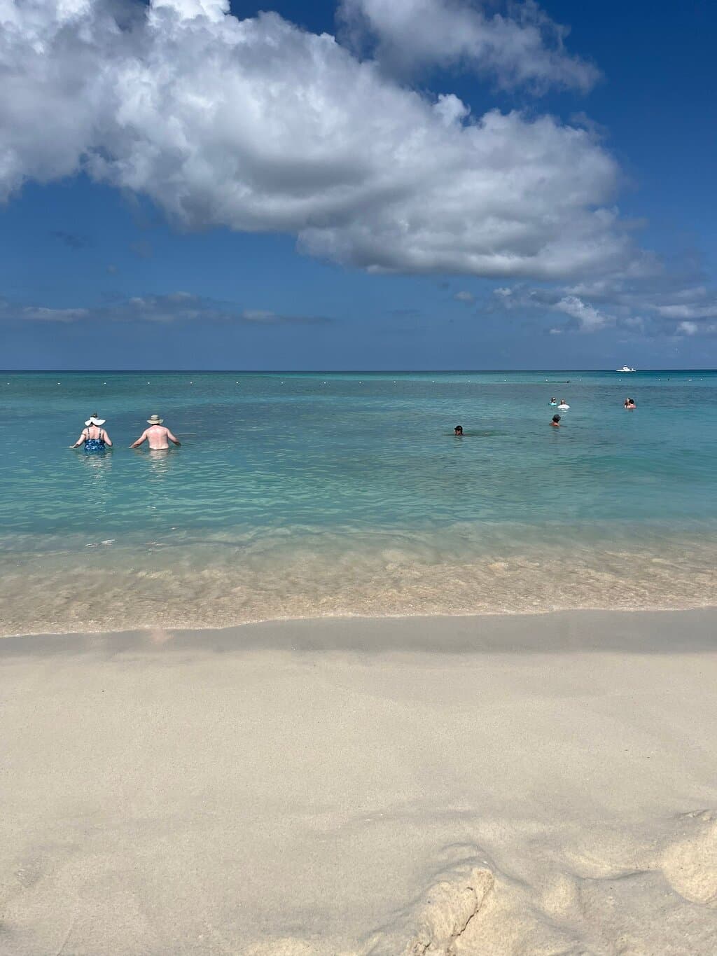 Seabob Tours at TripAdvisor