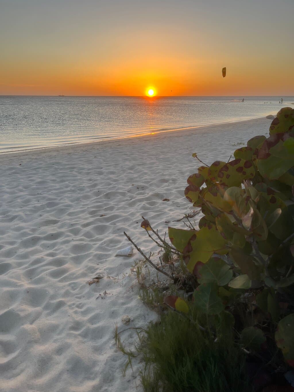 Kitesurfing Aruba at TripAdvisor