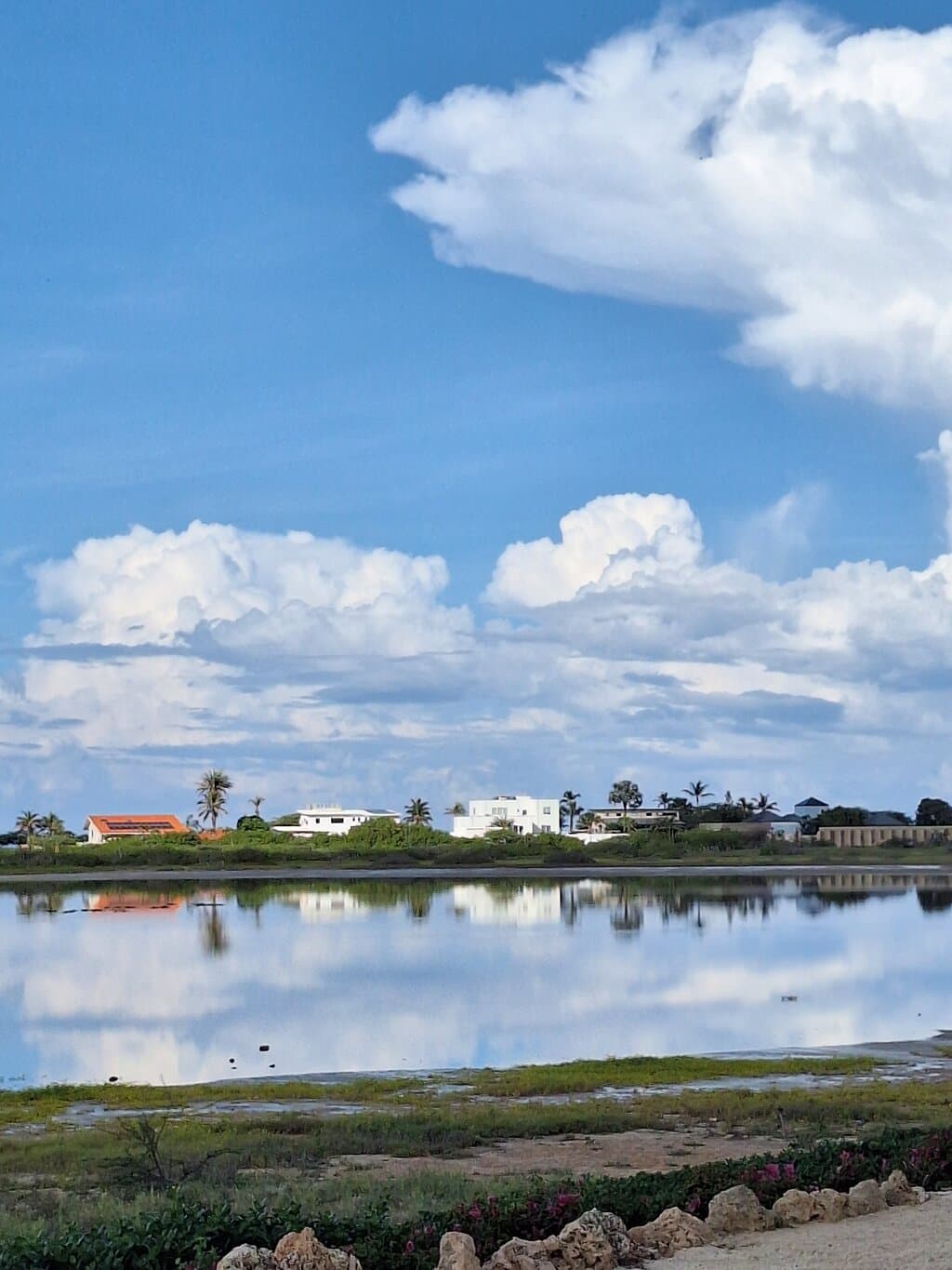 Salina Local Cuisine at TripAdvisor