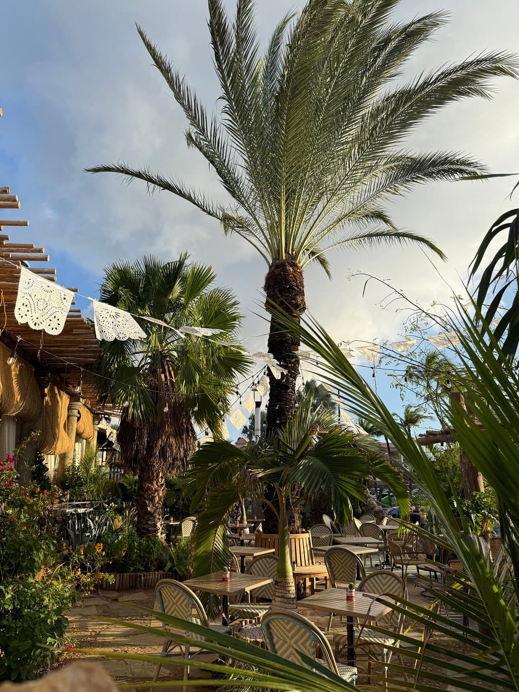 El Patio Tacos And Tequila Aruba
