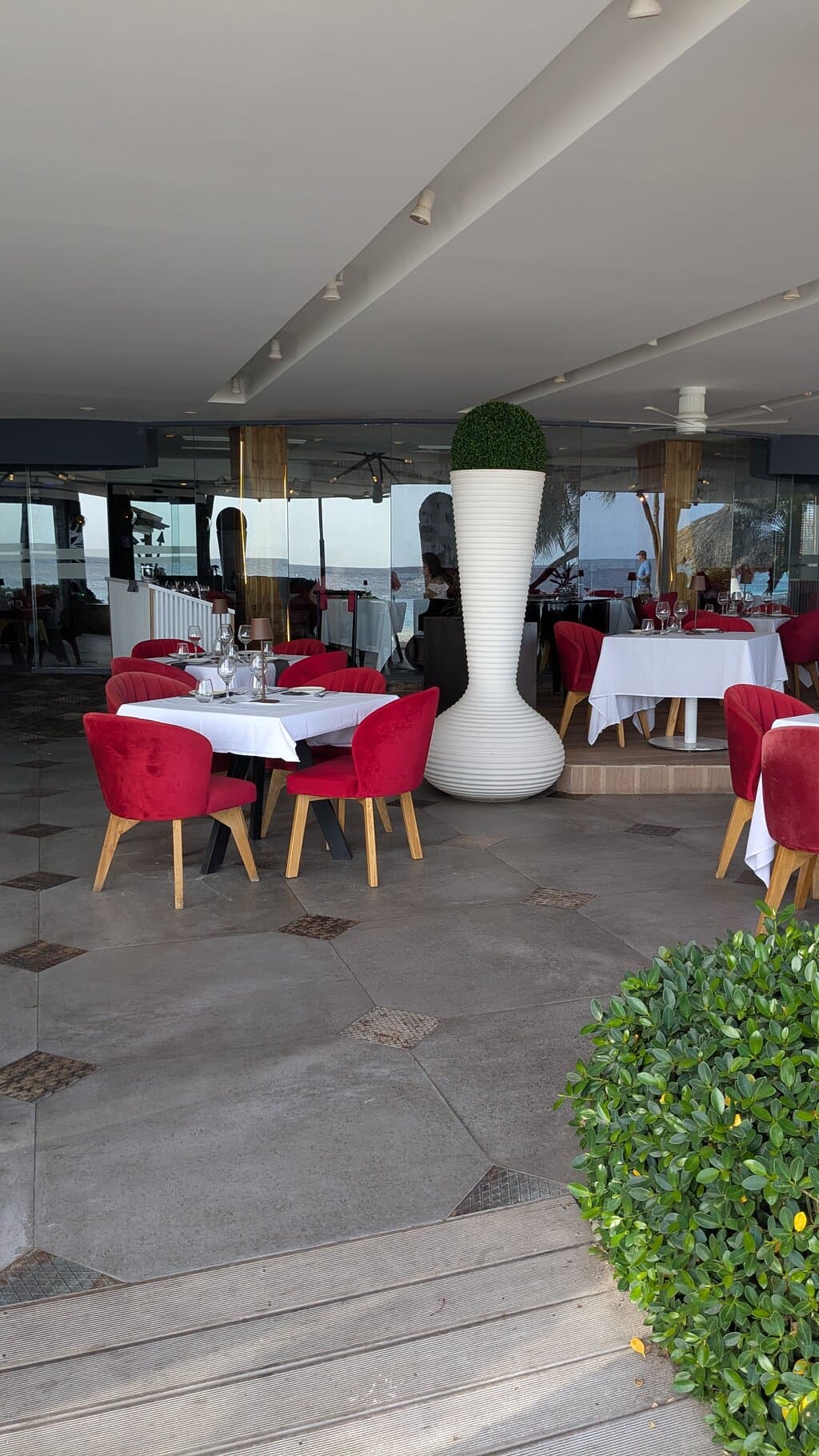 Red Parrot at TripAdvisor