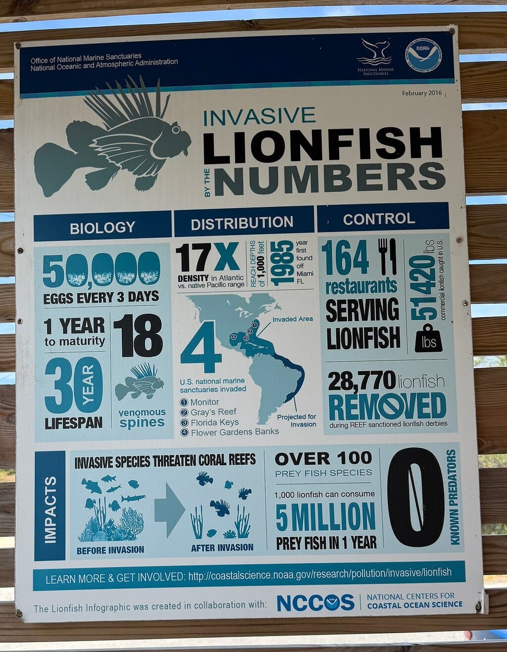 The LionFish Snack Aruba at TripAdvisor