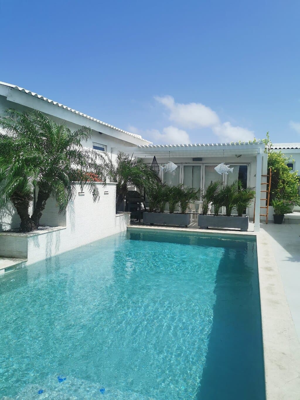 Movida Inn Aruba at TripAdvisor