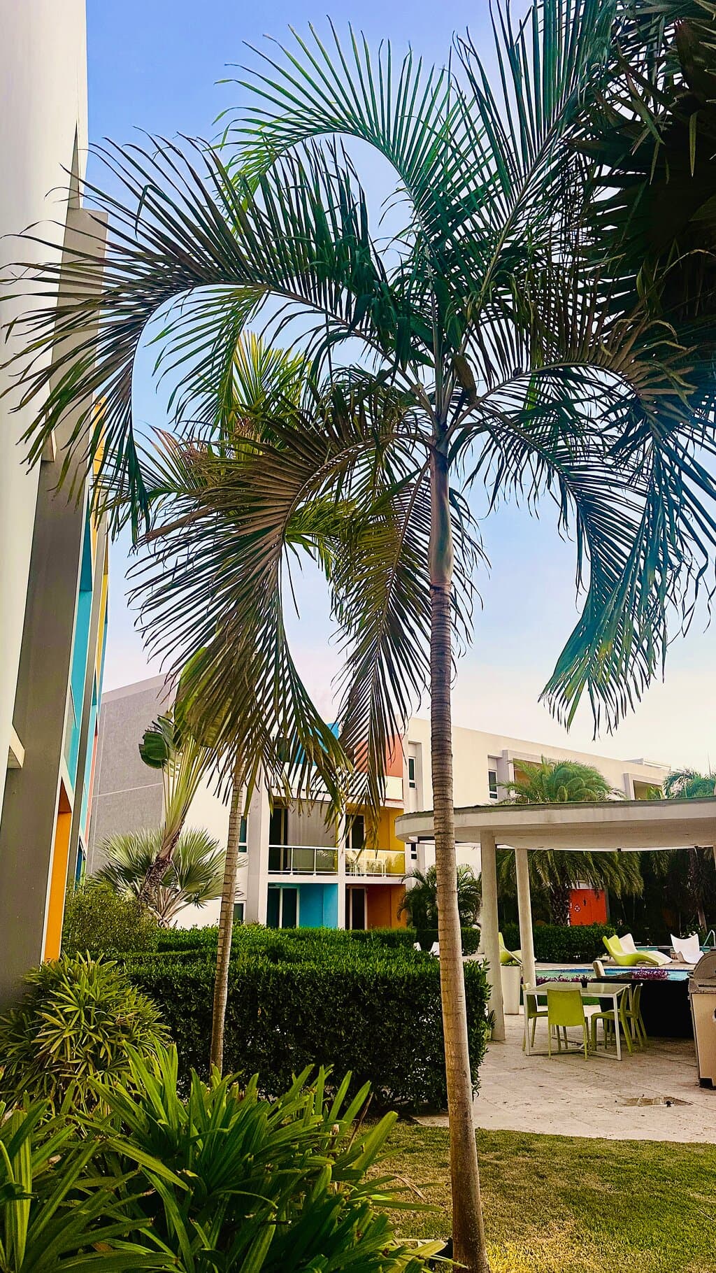 Isla Bonita Residences at TripAdvisor