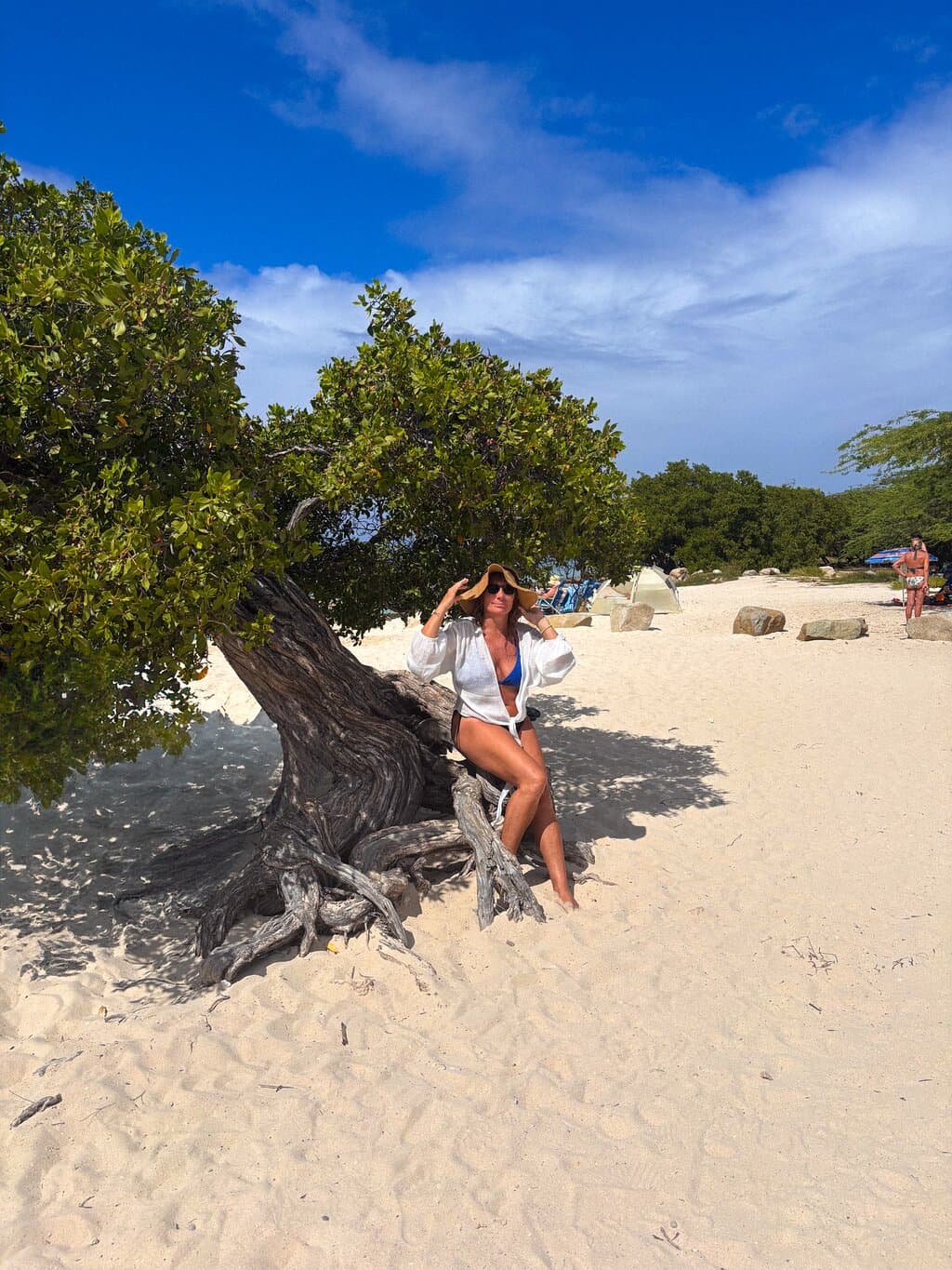 Divi Tree at TripAdvisor