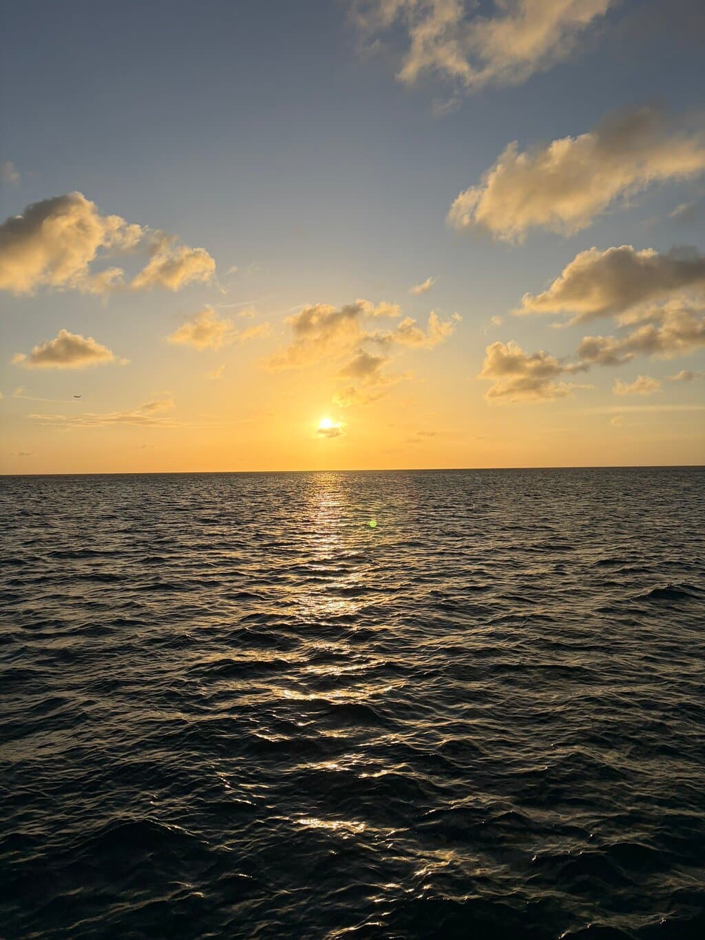 Tranquilo Sailboat Cruise at TripAdvisor