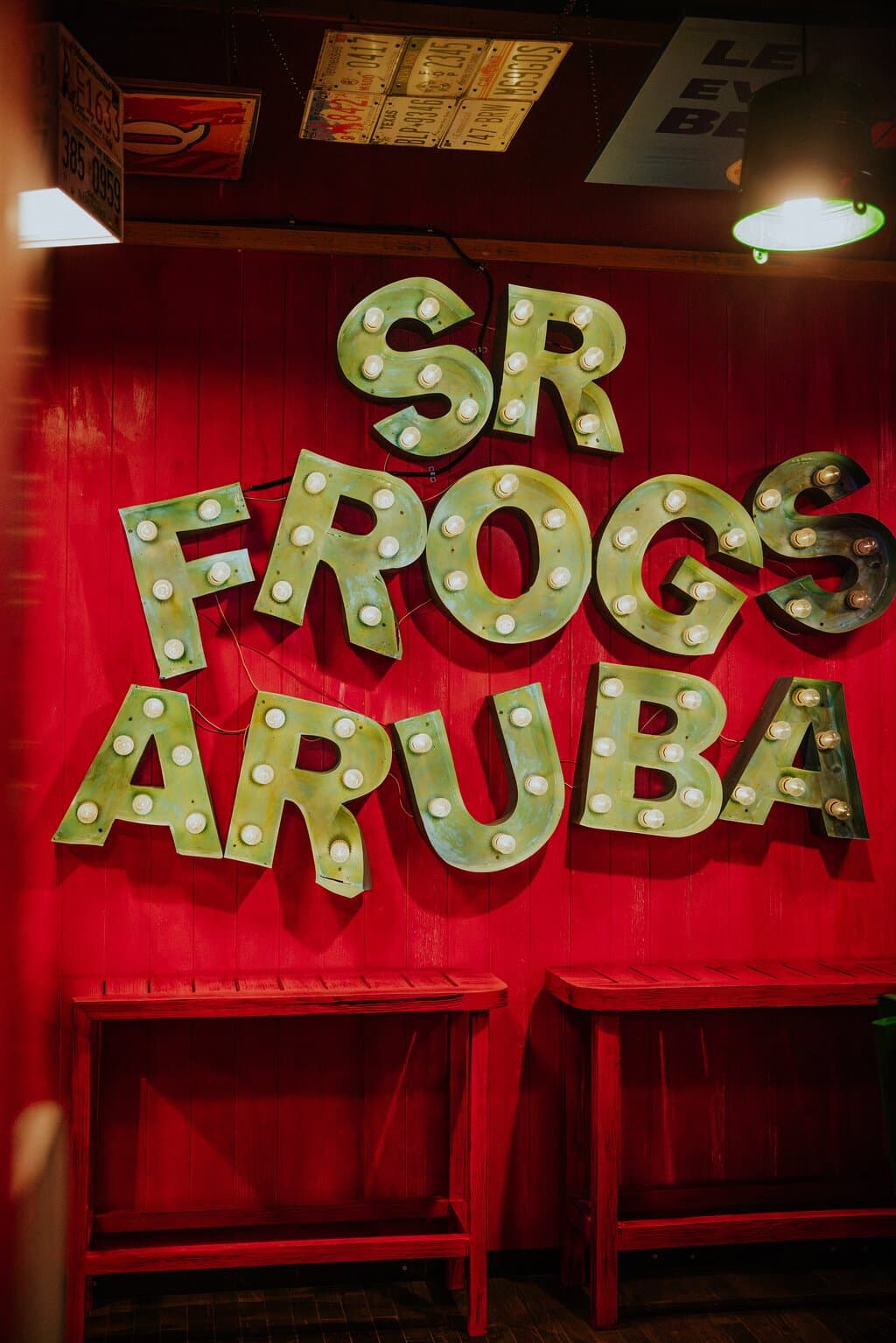 Interior Senor Frogs