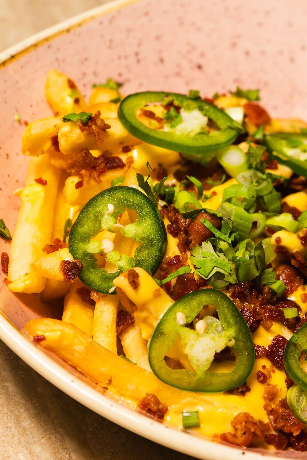 Loaded Fries