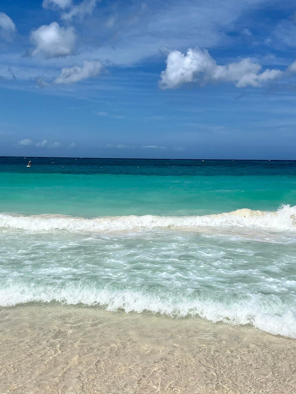Manchebo Beach at TripAdvisor