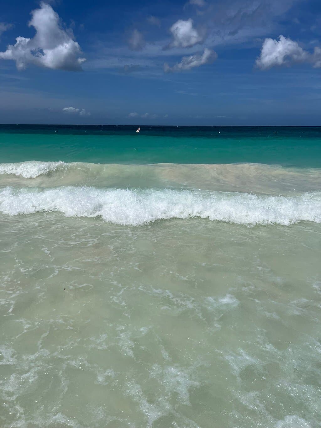 Manchebo Beach at TripAdvisor