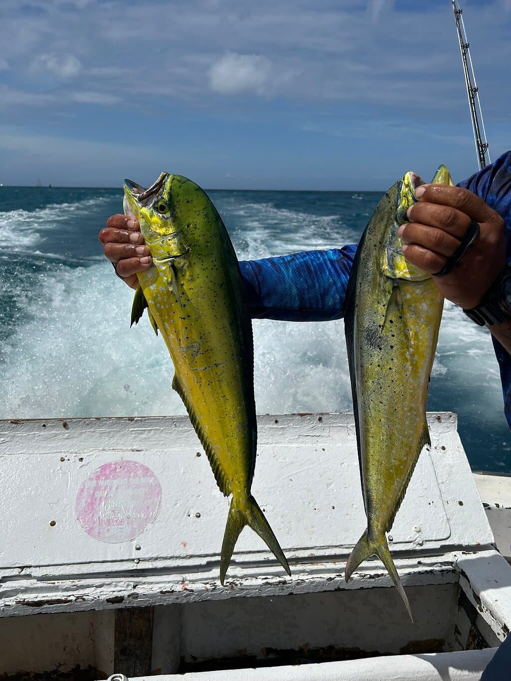J-String Fishing at TripAdvisor