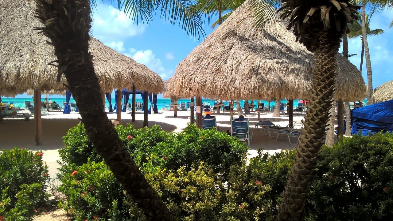 Lunch at the Palms
