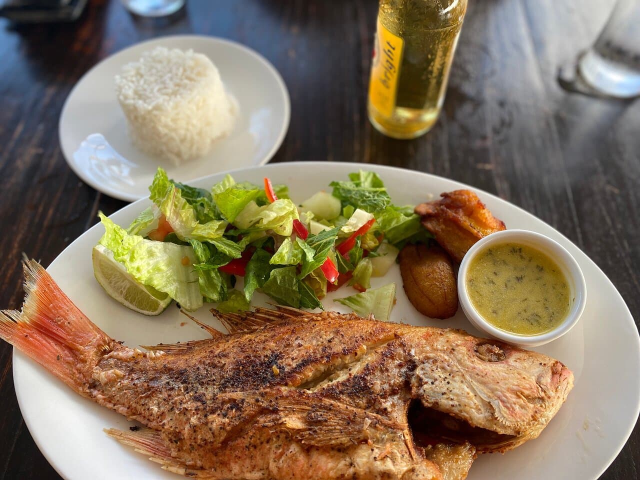 Whole red snapper