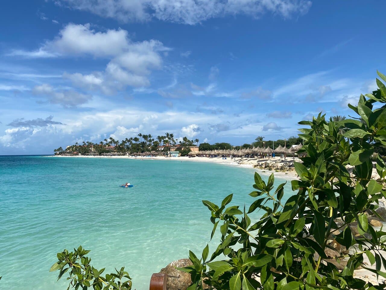 Divi Beach at TripAdvisor