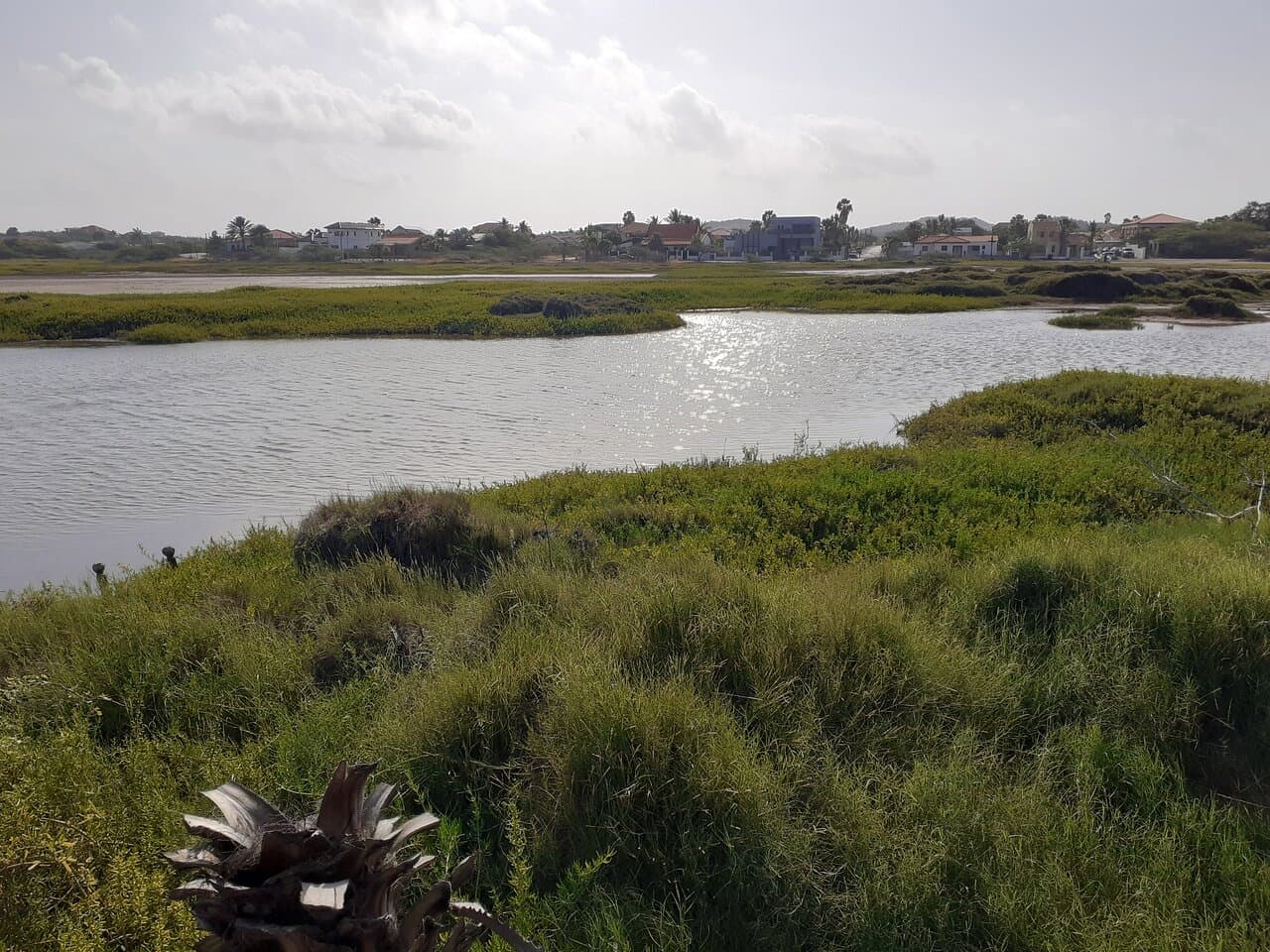 em frente a lagoa