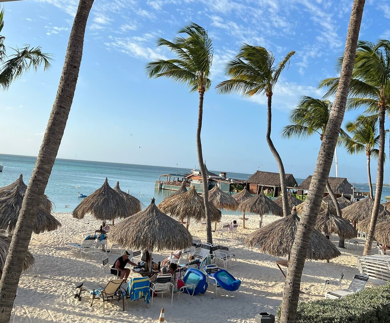 Arena Condominium Aruba at TripAdvisor