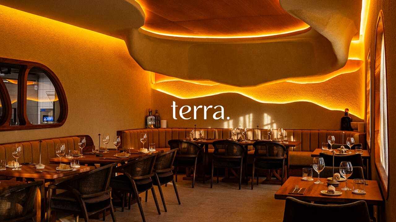Welcome to our dining room. This is Terra.