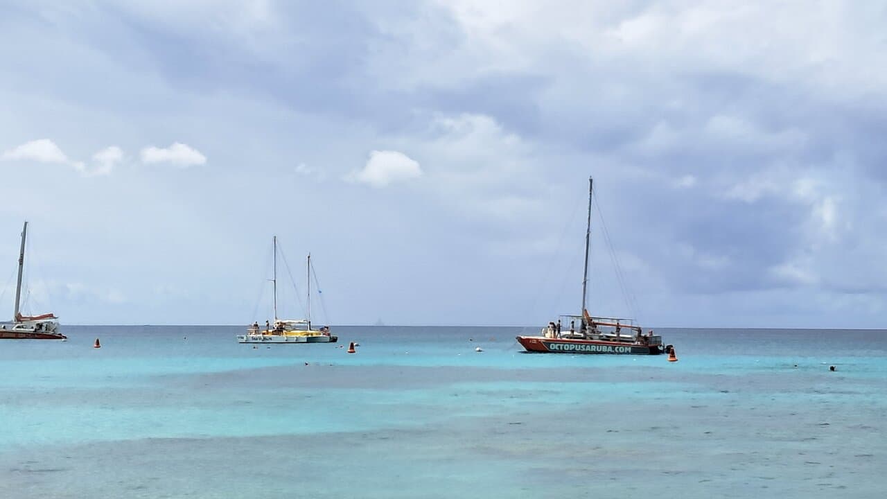 Boca Catalina at TripAdvisor