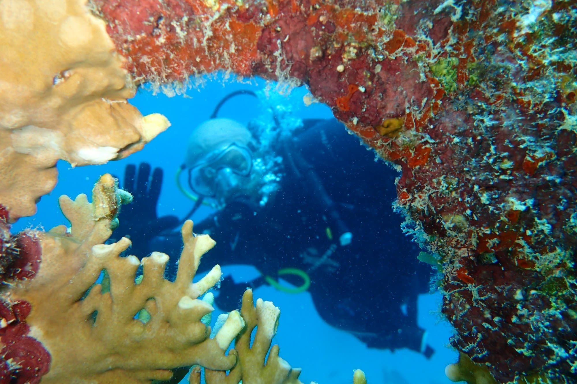 Me from a porthole!