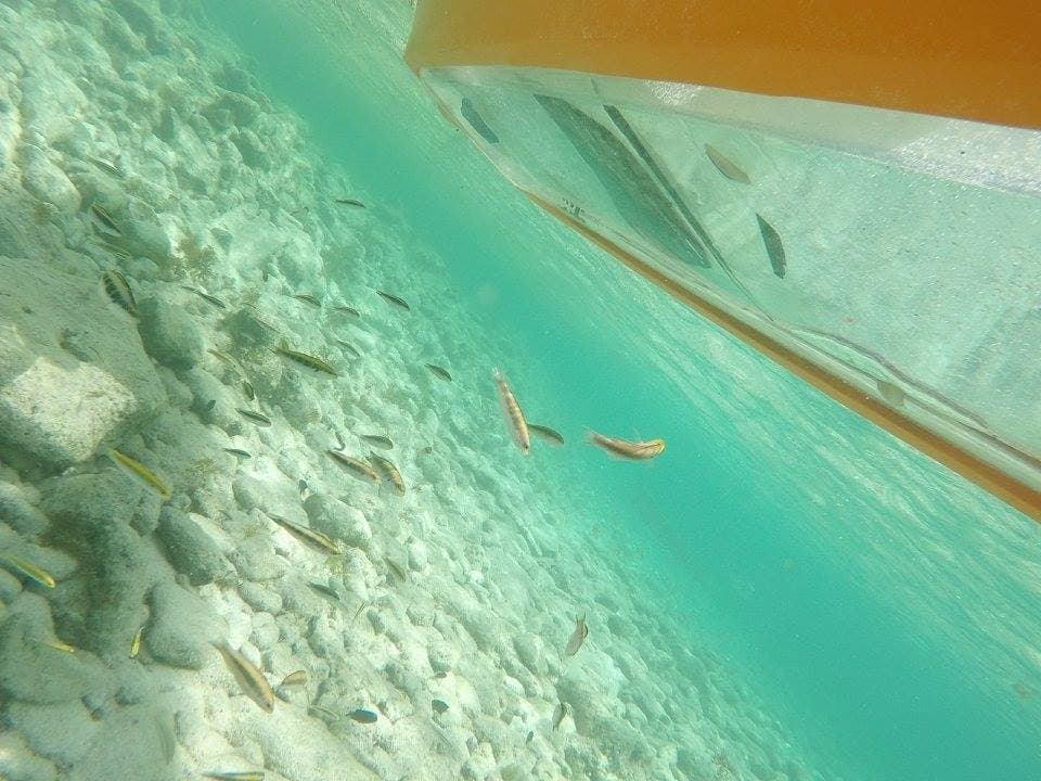 UNIQUE EXPERIENCE! CLEAR BOTTOM KAYAK