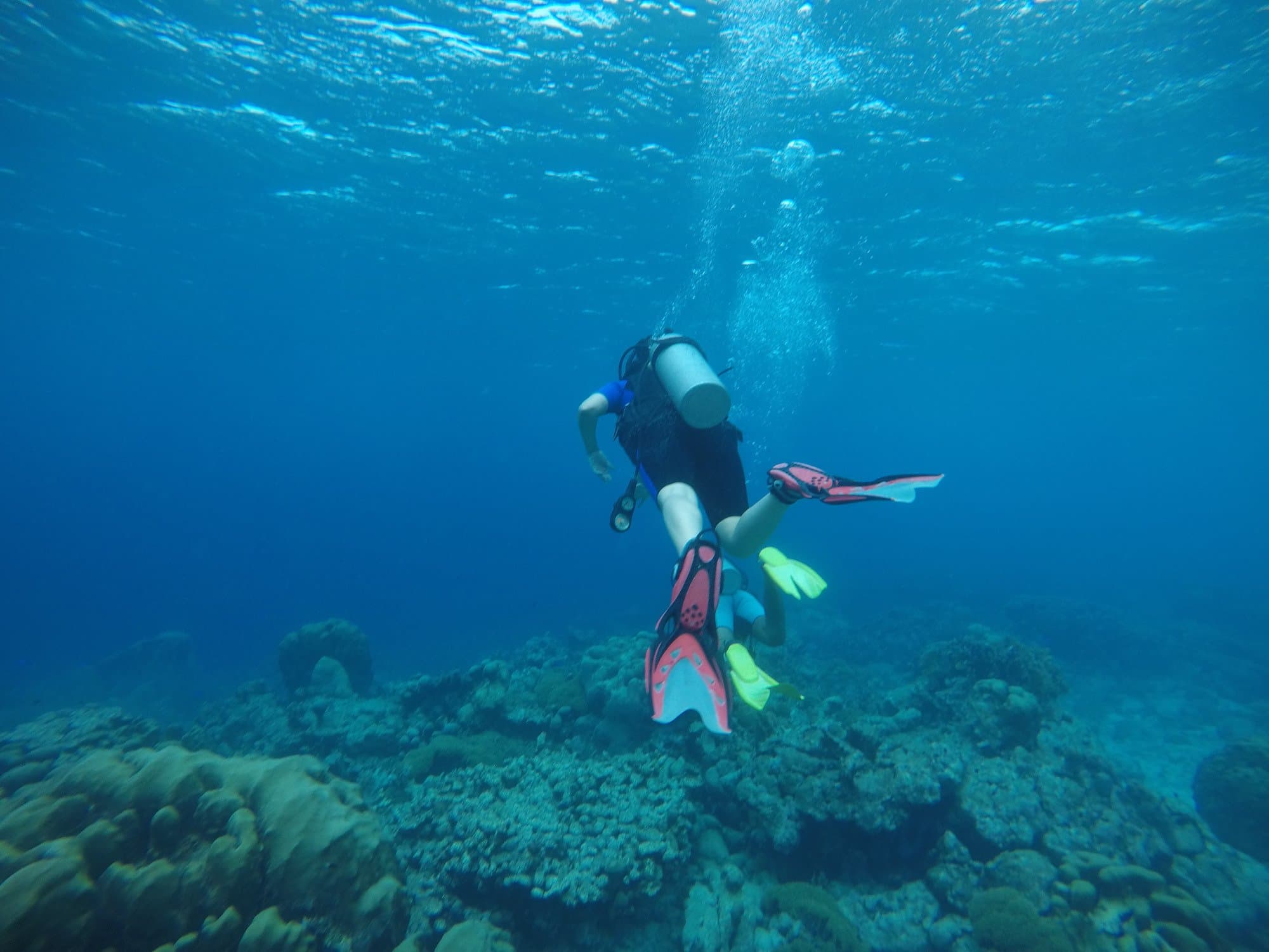 Honeymoon Dive