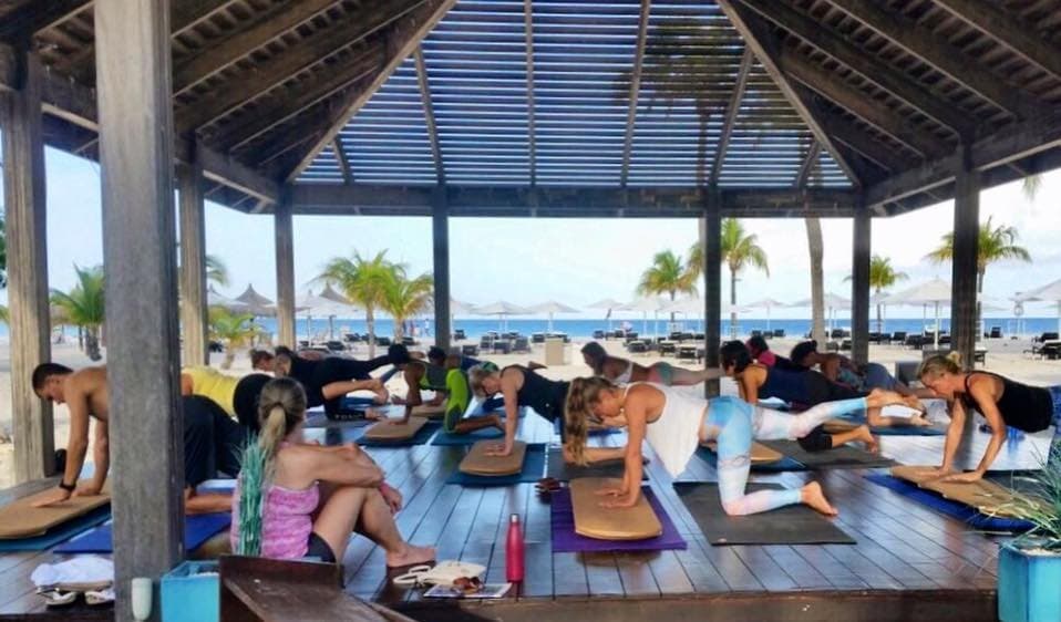 TerraWave Yoga