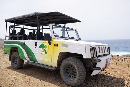 Our Jeeps are ready to take you on an adventure!