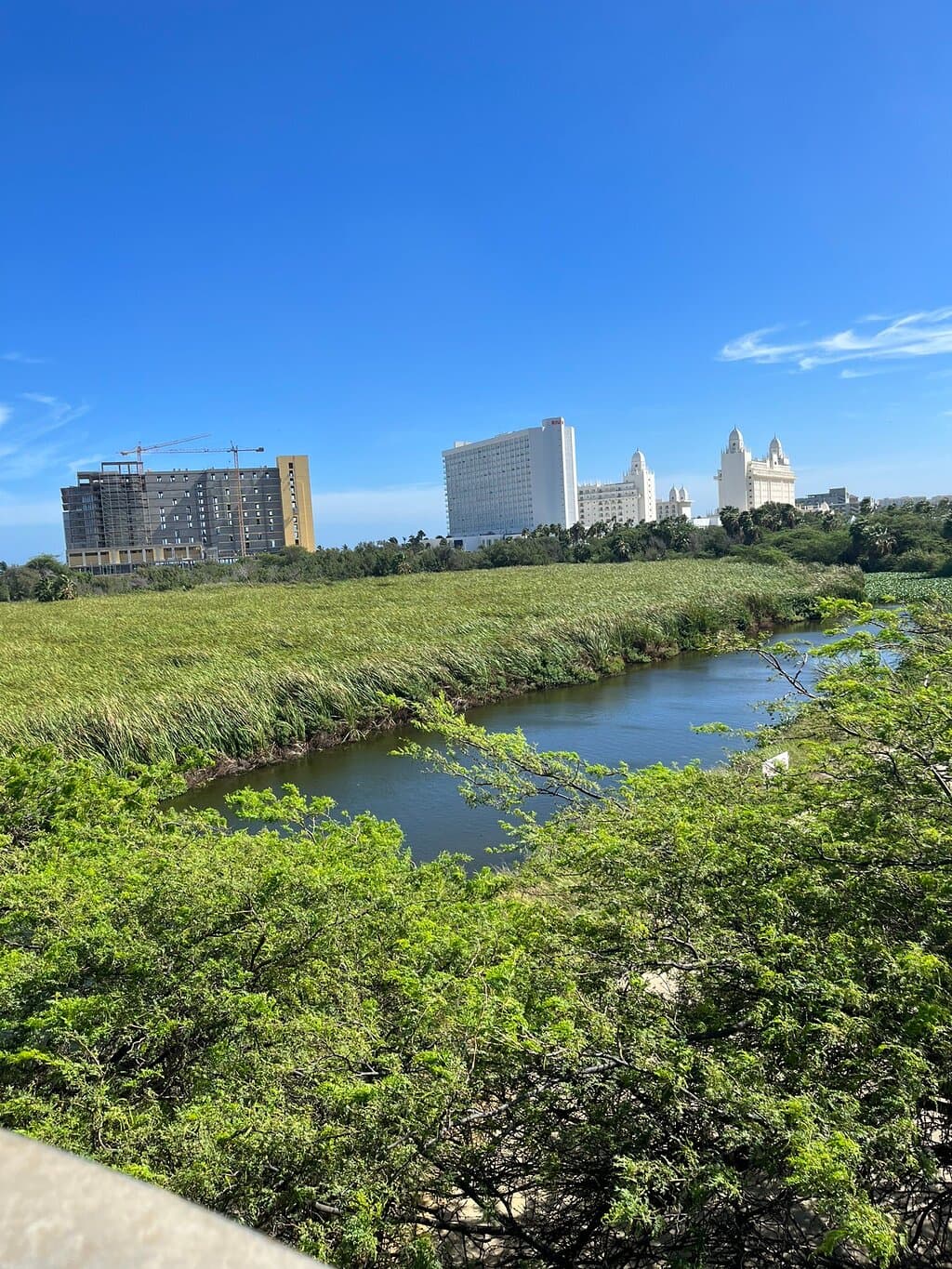 Bubali Bird Sanctuary at TripAdvisor